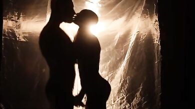 Sensual Interracial sex art