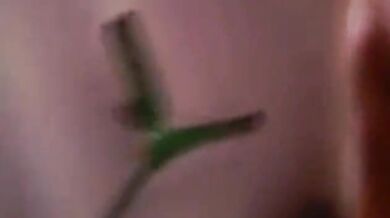 Mumbai couple fucked