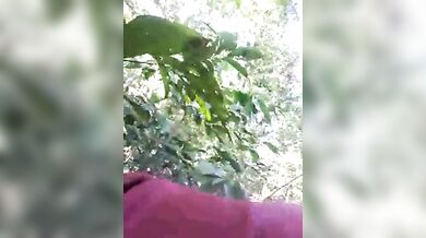 Indian GF sucked her BF's dick in the forest