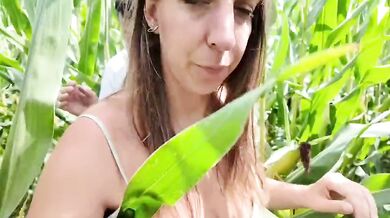 An Italian young couple fucks in cornfield