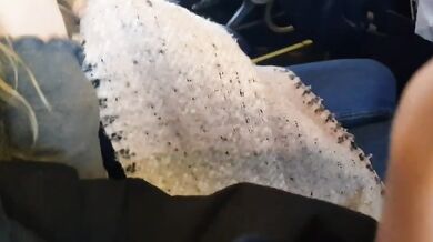 Honeymoon couple has blowjob while flying in plane