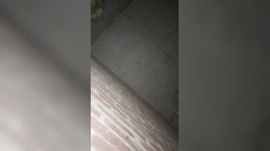 Punjabi Couples fucking after Drunk Viral Porn Clip