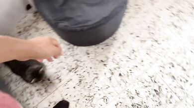 Horny brother trick his beautiful stepsis video